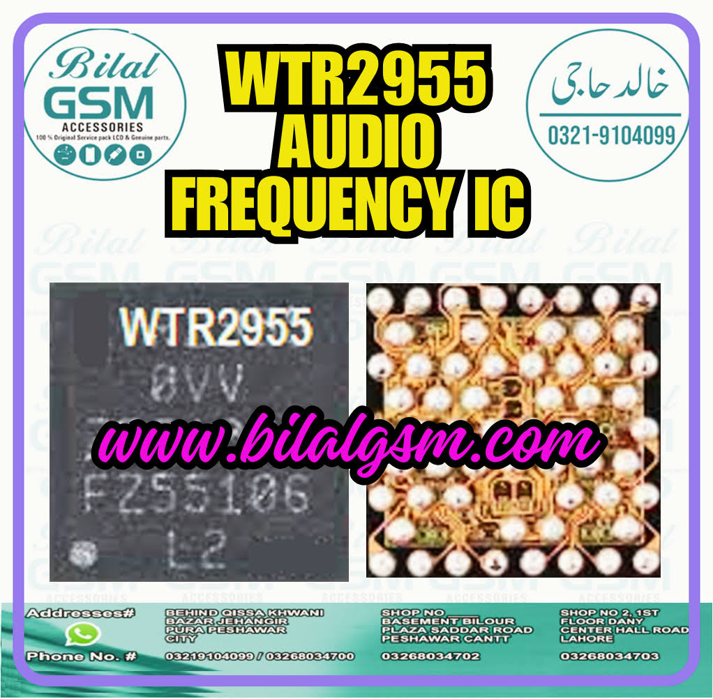 WTR2955 Midfrequency Audio Frequency IC Chip -